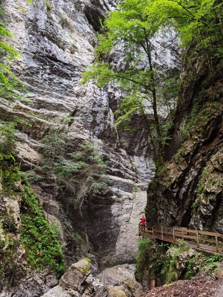 Alplochschlucht - ganz viel wilde Natur, ein echtes Erlebnis!