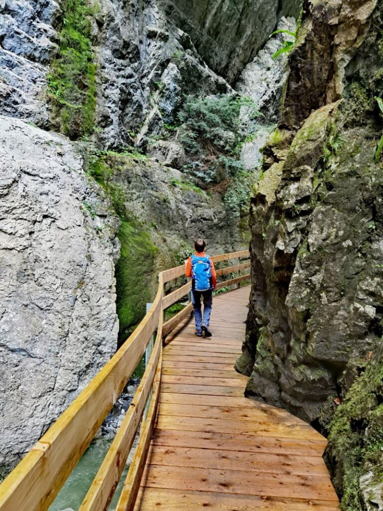 Zuerst durch die Rappenlochschlucht, dann durch die Alplochschlucht und schließlich hinauf zum Kirchle wandern