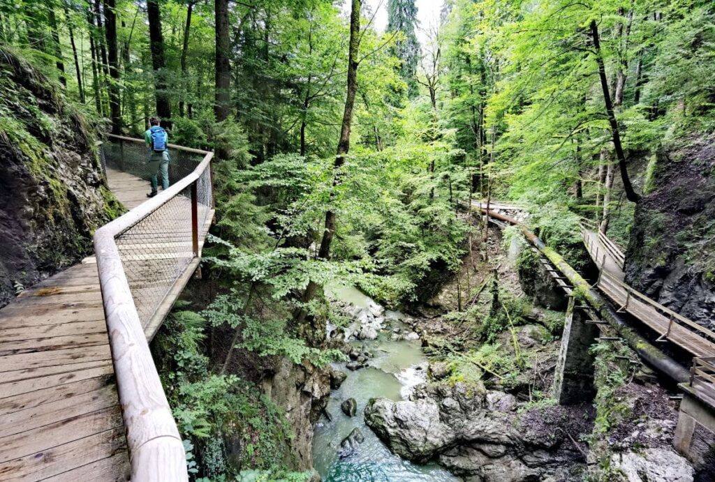 Blick in die Rappenlochschlucht in Dornbirn