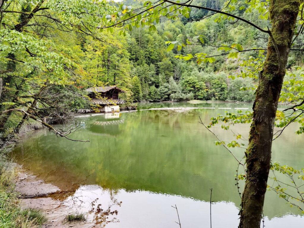 Der Staufensee - oberhalb der Rappenlochschlucht