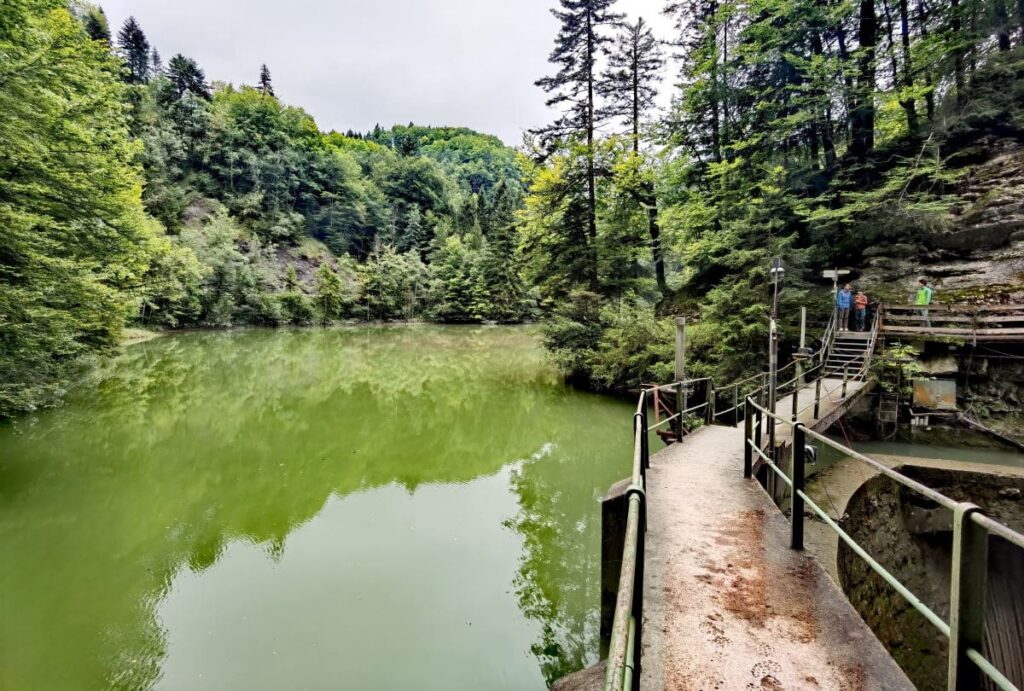 Der Staufensee Rundweg - leichte Wanderung zwischen Rappenloch und Alploch